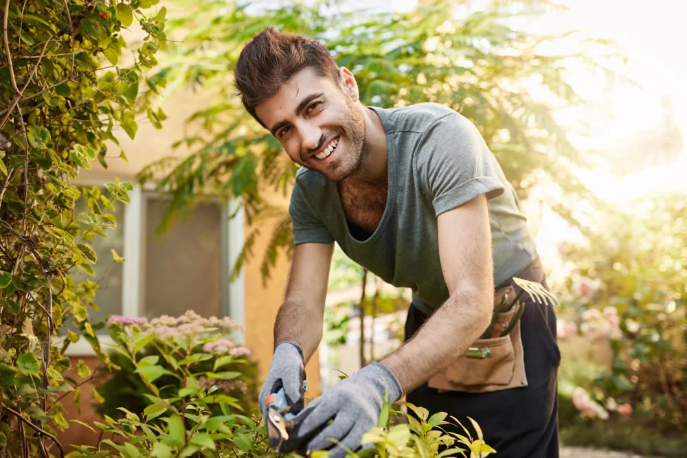Yard & Garden Maintenance